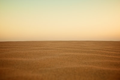 选择聚焦摄影的沙漠
